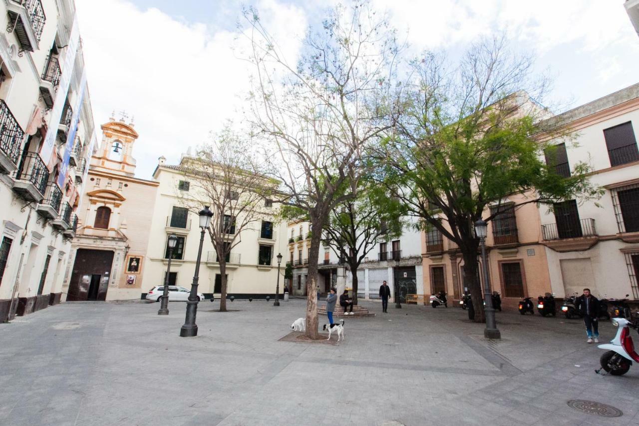 Gotoseville Molviedro Apartamento *
